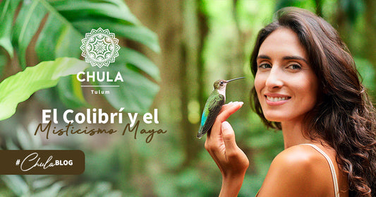 El colibrí y el misticismo maya