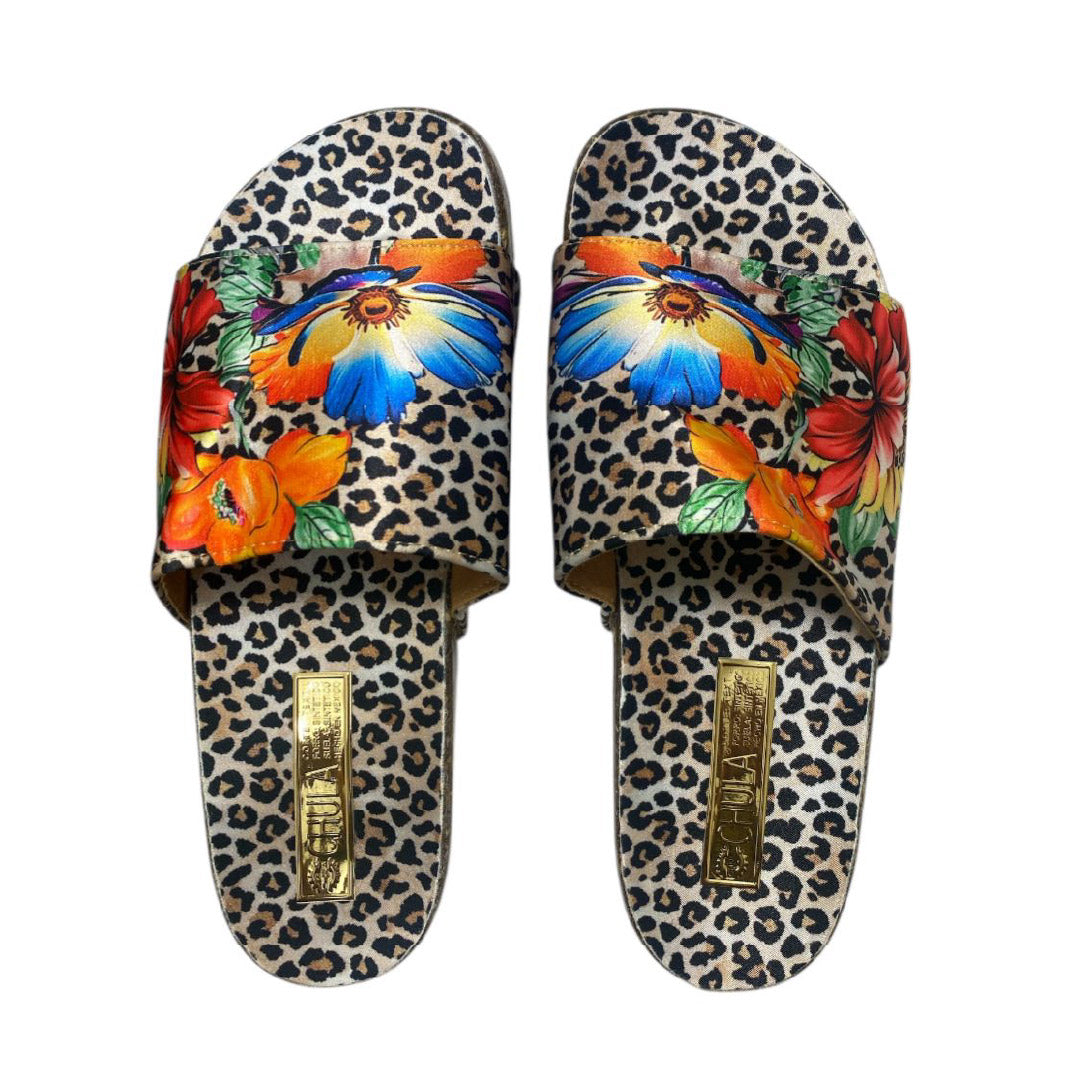 Gasania - Comfy Flat