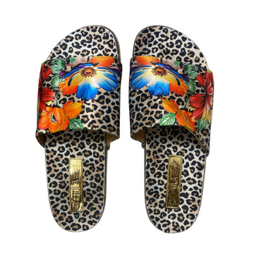 Gasania - Comfy Flat